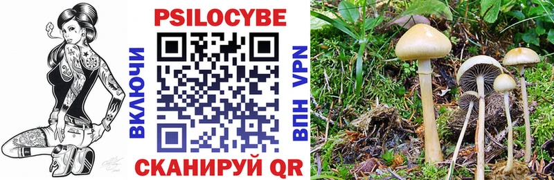 Псилоцибиновые грибы мухоморы Усть-Лабинск